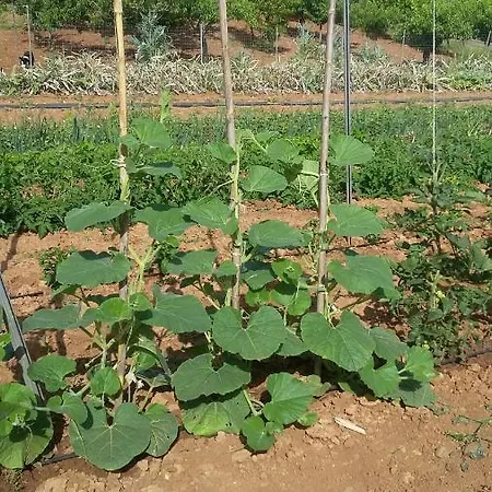 Appartamento Privato Maria, Affitti Brevi בית נופש קאסטלמארה דל גולפו